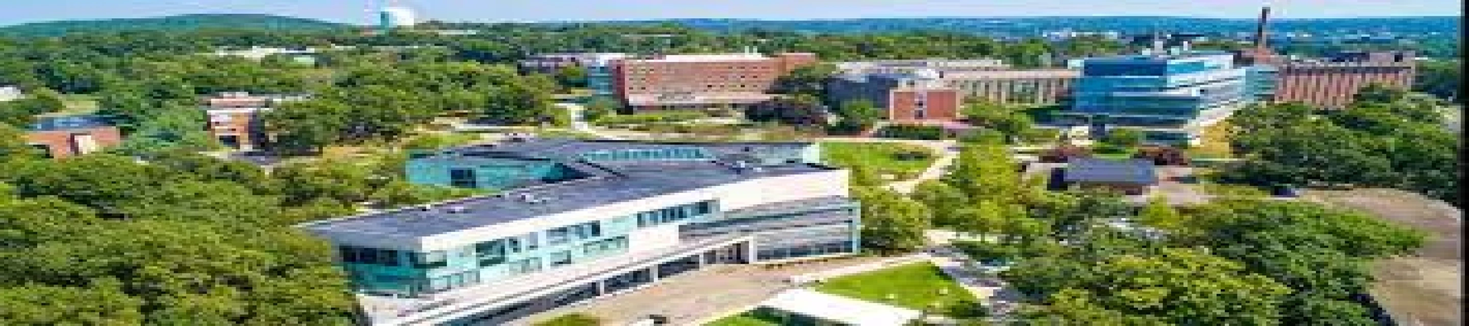 Arabic Language, Literature and Culture